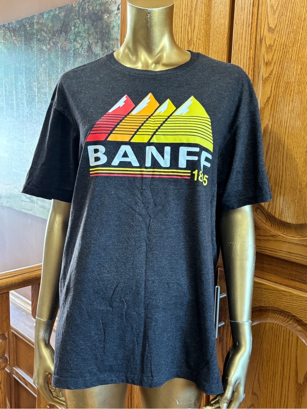 Mi Dark Gray Knit Top with Teal Accent βBanff 1885β Graphic Tshirt